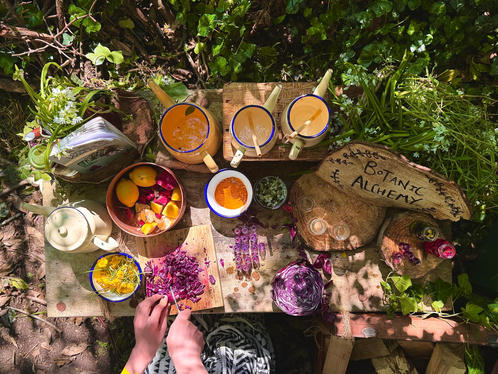 Forest School plymouth workshop festival