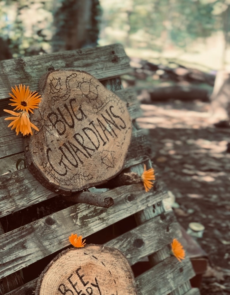 Birthday Party Devon