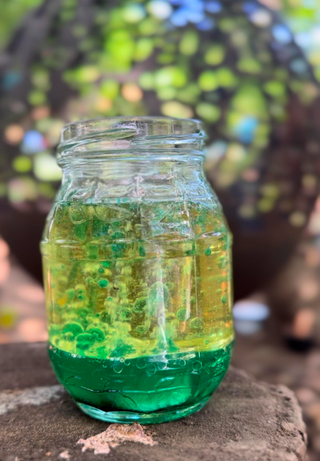 Forest school devon Cornwall